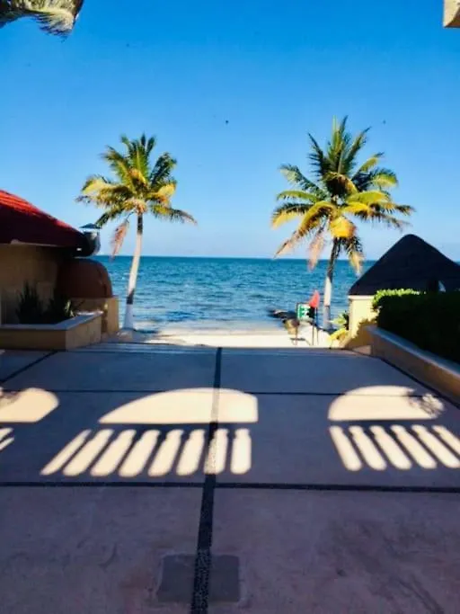 Punta Me Apartment Beach Front In The Hotel & Waterpark Cancun